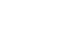 JUST JUNK